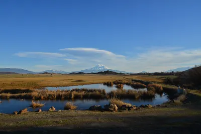 DSC_5991 (Large).JPG